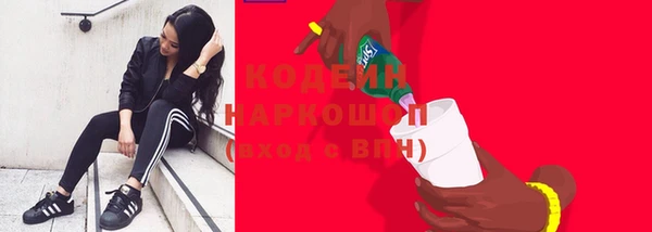 ПСИЛОЦИБИНОВЫЕ ГРИБЫ Новодвинск