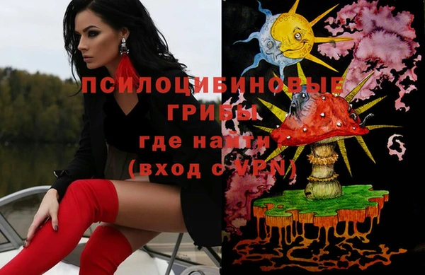 ПСИЛОЦИБИНОВЫЕ ГРИБЫ Новодвинск