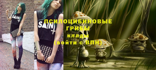 твердый Нефтегорск
