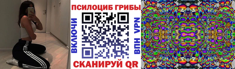 цены Чулым Псилоцибиновые грибы мухоморы