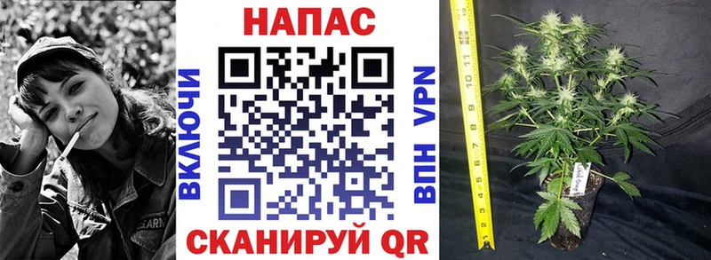 МАРИХУАНА ГИДРОПОН  Чулым 